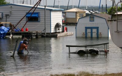 Top 5 Water Damage Restoration Specialists: The Long Island Homeowners’ Guide